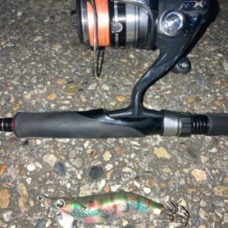 時合いは一瞬。。。σ(^_^;)