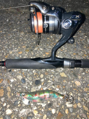 時合いは一瞬。。。σ(^_^;)