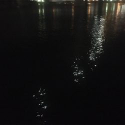 台風通過前調査