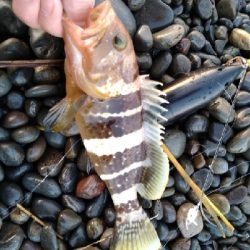 ロマンを求めて