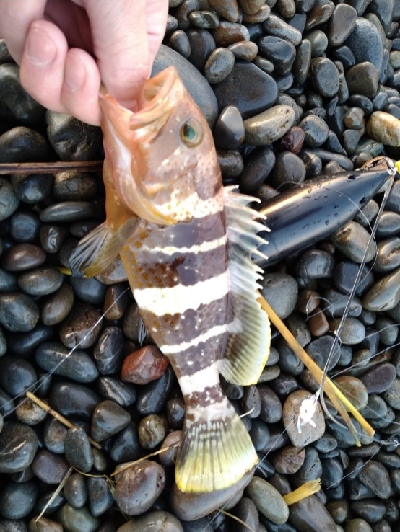 ロマンを求めて