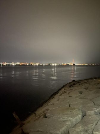 太刀魚撃沈　根魚爆釣