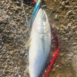 ショアブリ トライデント150/60