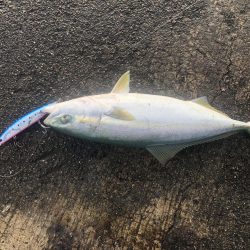 早起きは三文の得