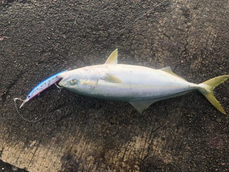 早起きは三文の得