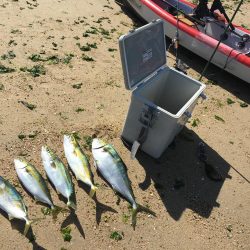 カヤックで初の獲物