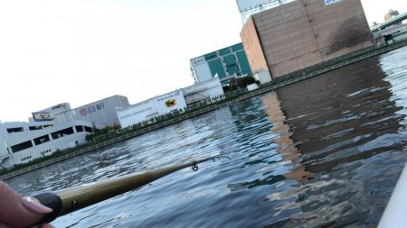 夜釣りでシーバス