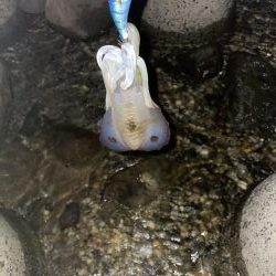 台風の影響は？