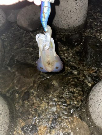 台風の影響は？