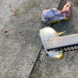 ジグサビキででアジ釣り