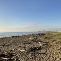 ジグサビキでアジ釣り