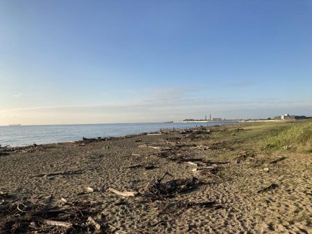 ジグサビキでアジ釣り