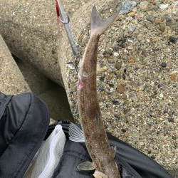 えーそ！エソ‼︎