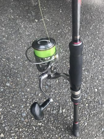 朝マズメの太刀魚釣り