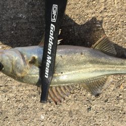 ファミリーフィッシング3