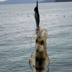 長時間耐久の結果は？