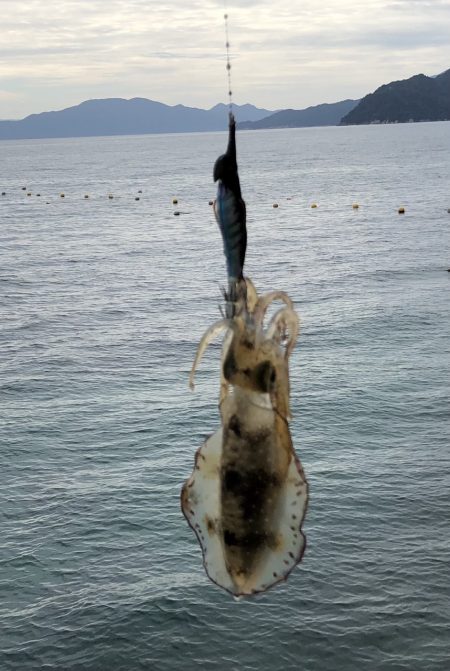 長時間耐久の結果は？