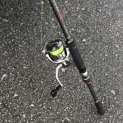 朝マズメの太刀魚釣り