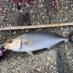 やっぱり熱い中泊!