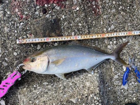 やっぱり熱い中泊!