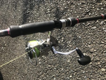 朝マズメの太刀魚釣り