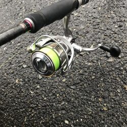 朝マズメの太刀魚釣り