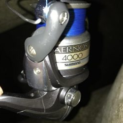 ワインド太刀魚