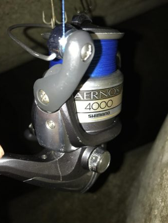 ワインド太刀魚