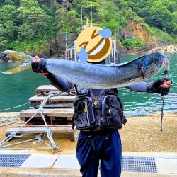 ヒラマサちゃうんかーい