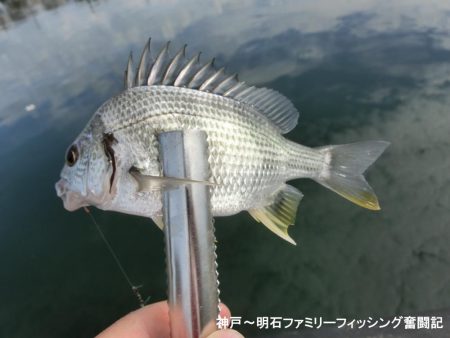 キス狙いが以外にも