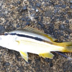 小物ばかりです