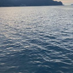 ファミリーフィッシング