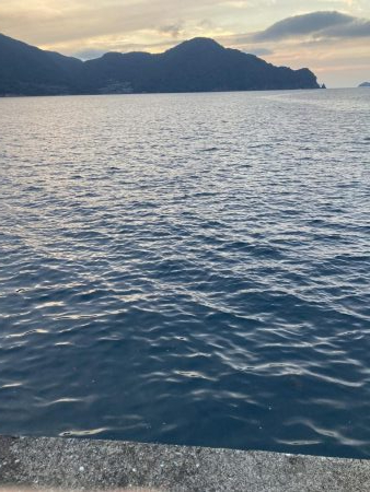 ファミリーフィッシング