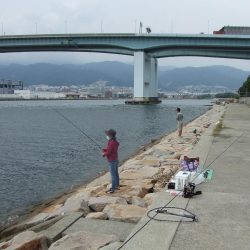 やっとサヨリが釣れた！楽しい！