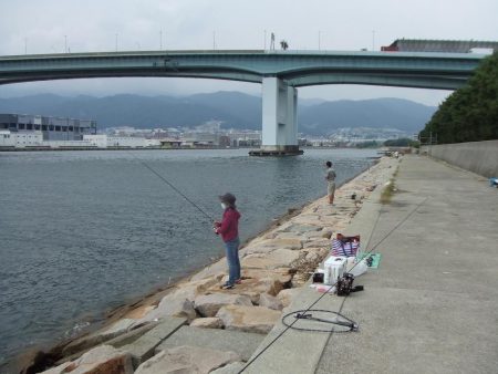 やっとサヨリが釣れた！楽しい！