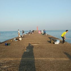 活性が上がり始めた播磨新島のキス