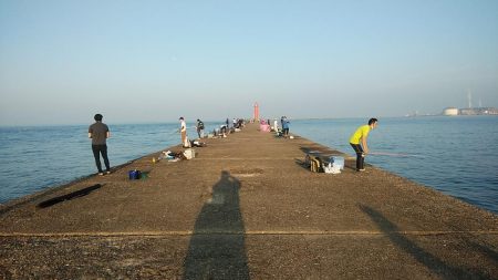 活性が上がり始めた播磨新島のキス