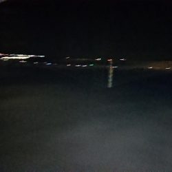 ネオブラ初フィッシュ！