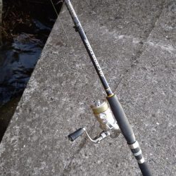 TEAMゲッソー調査隊