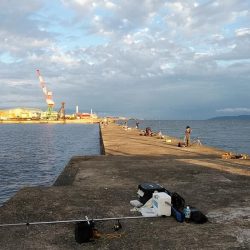 今日も買い物待ち釣行