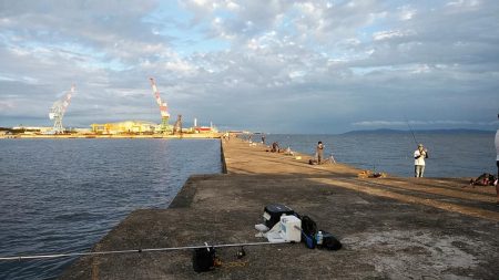 今日も買い物待ち釣行