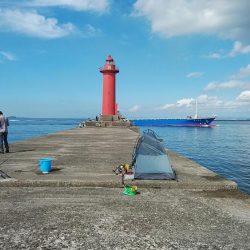 活性が下がった新島釣行のキス