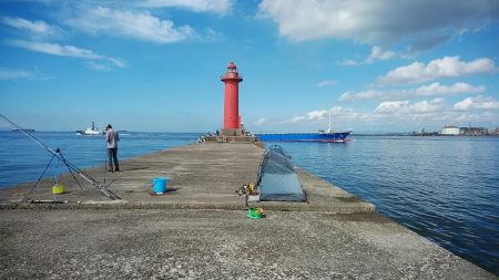 活性が下がった新島釣行のキス