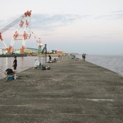 活性が上がらない播磨新島のキス