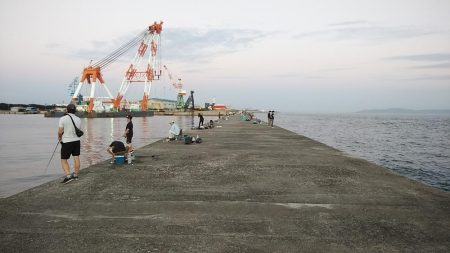 活性が上がらない播磨新島のキス