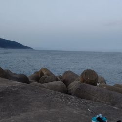 一年ぶりのエギング釣行