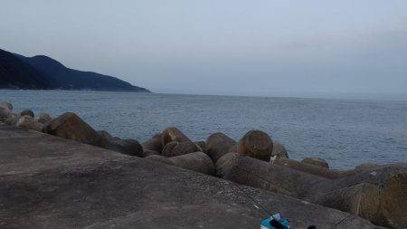 一年ぶりのエギング釣行