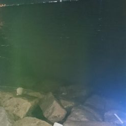 久しぶりの釣り