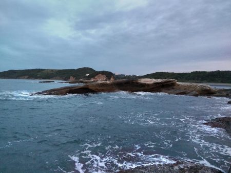 地磯プラッキング