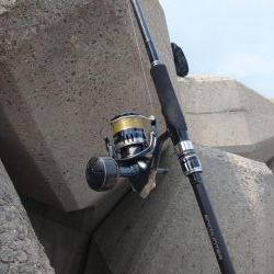 ライトショアジギング